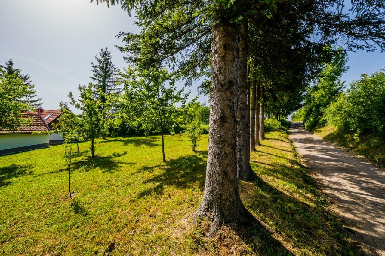 Beautiful Cottage With Heated Pool For 22 Ppl Plaski Экстерьер фото