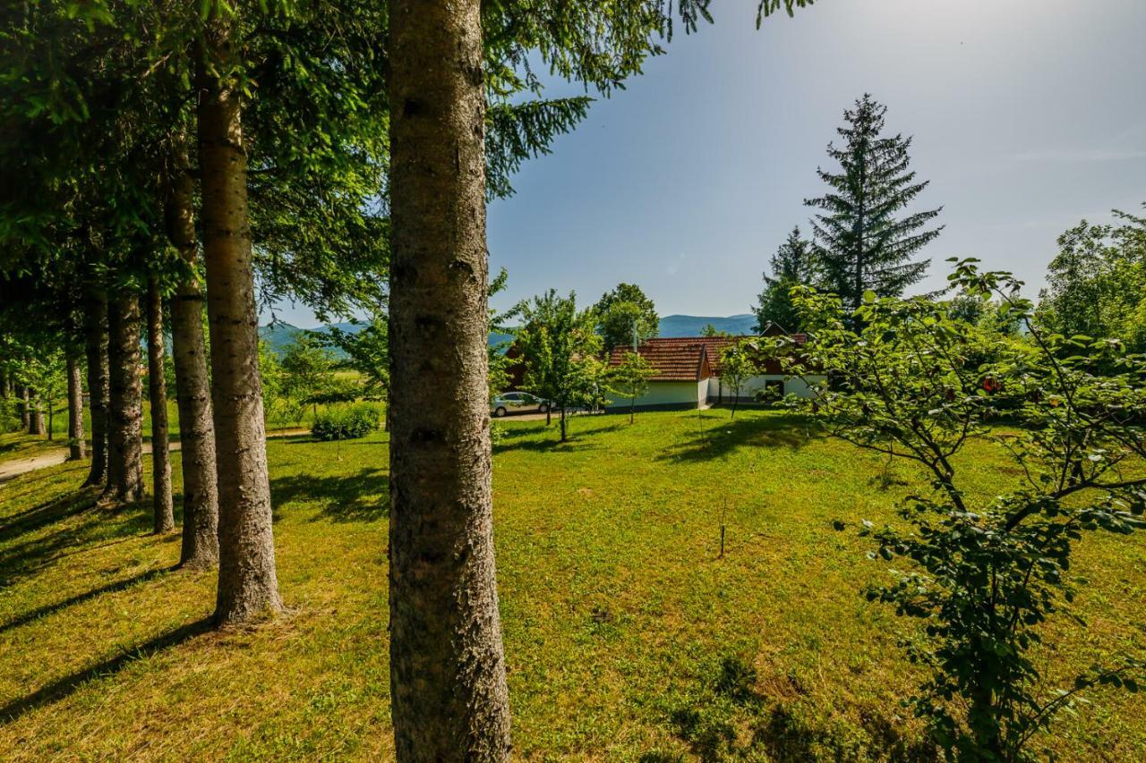 Beautiful Cottage With Heated Pool For 22 Ppl Plaski Экстерьер фото