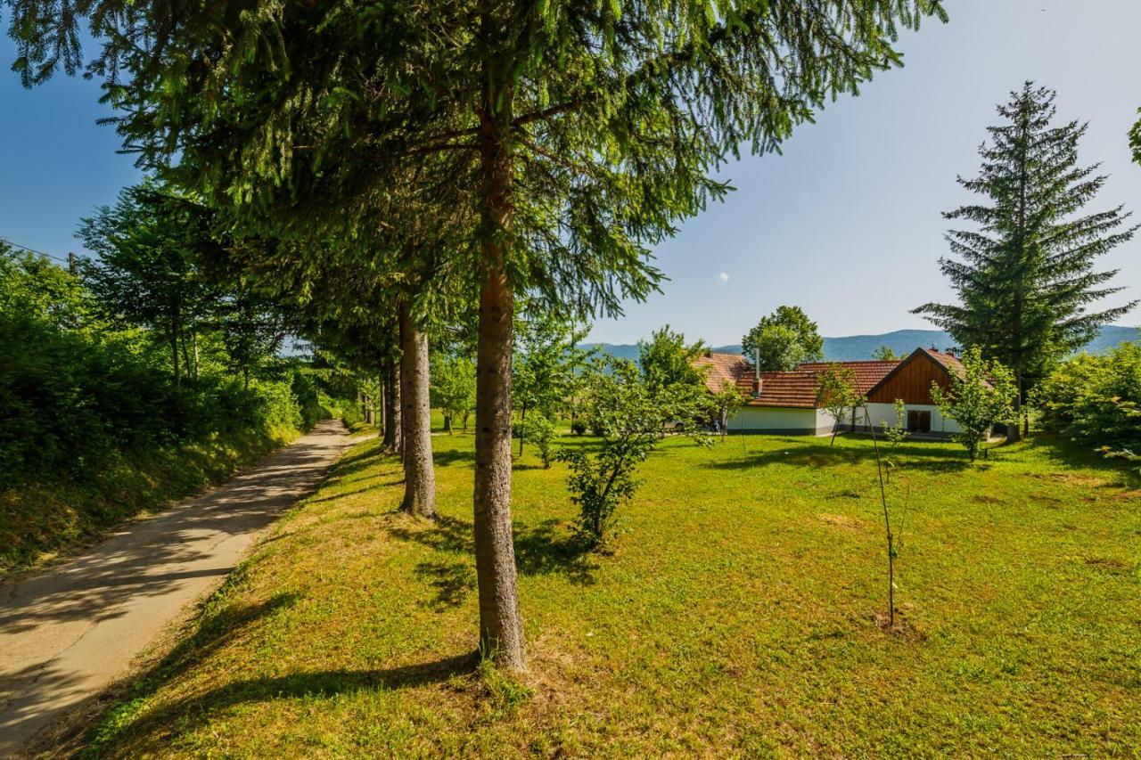 Beautiful Cottage With Heated Pool For 22 Ppl Plaski Экстерьер фото